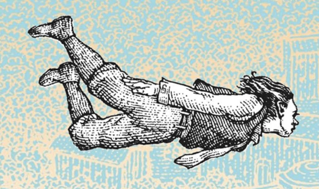 A Field Guide to Lucid Dreaming